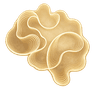 Vault Logo